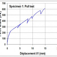 Spécimen 1: Chargement monotonique